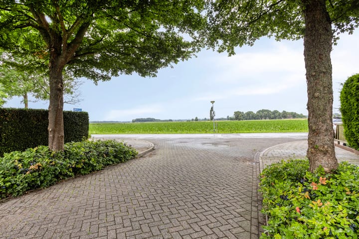 Photo 43 of Winterjan 23