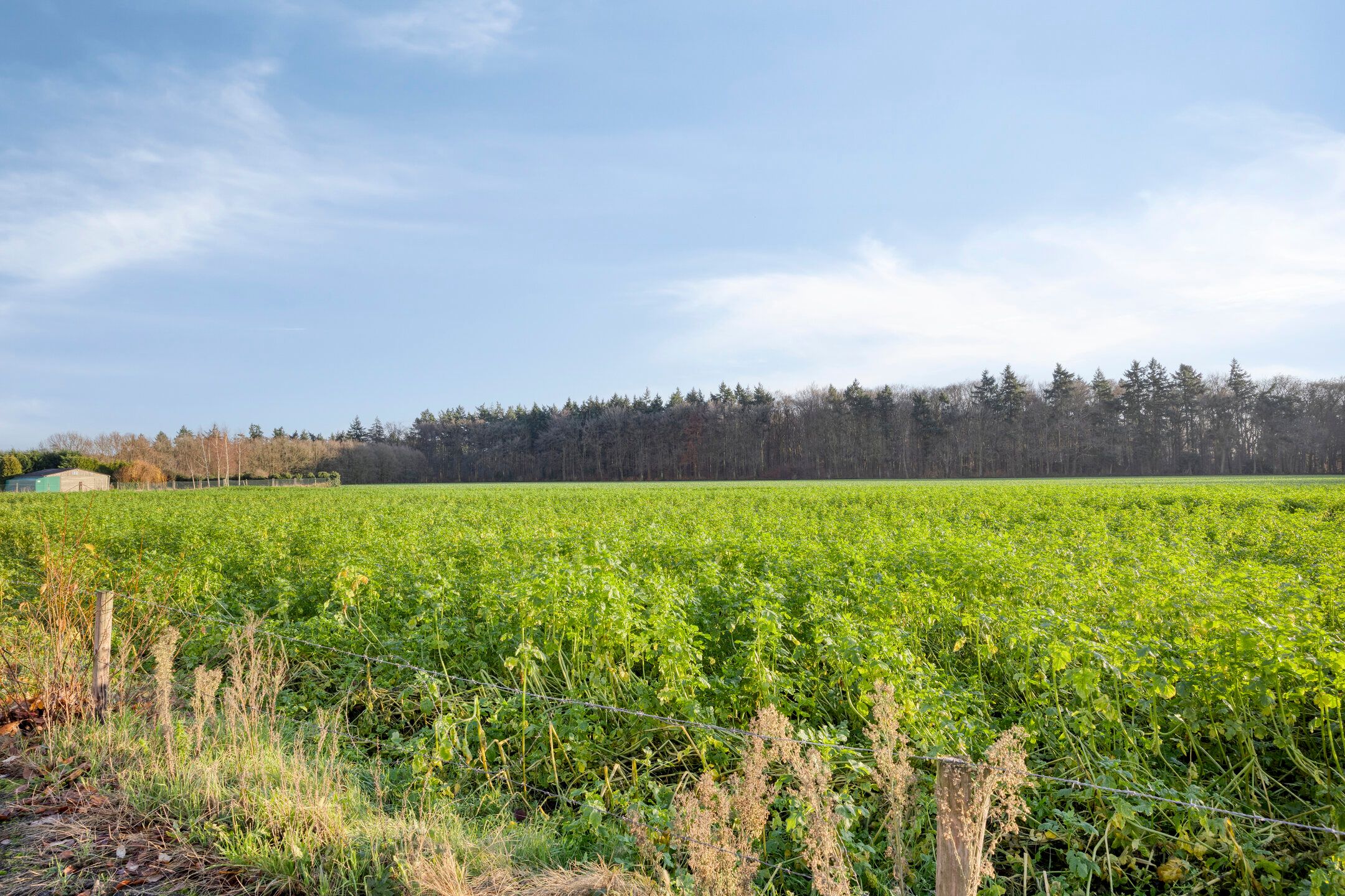 Foto 39 van Van Hoensbroekstraat 30