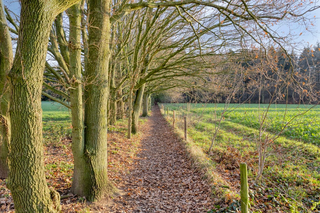 Foto 37 van Van Hoensbroekstraat 30