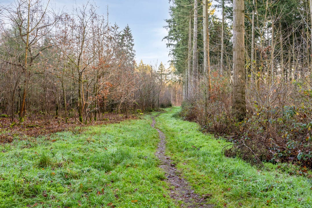 Foto 38 van Van Hoensbroekstraat 30