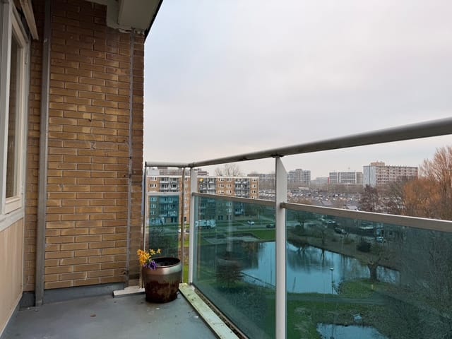 Foto 13 van Plutostraat 358