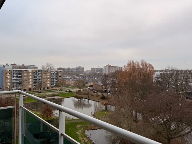 Foto 14 van Plutostraat 358