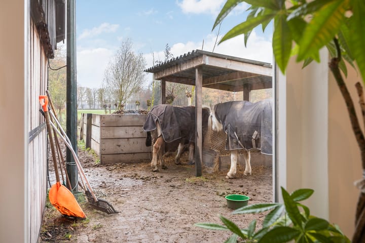 Foto 5 van Hoevesteeg 34