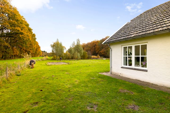 Foto 65 van Hoevesteeg 34