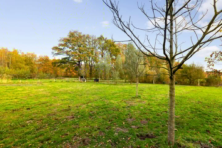 Foto 73 van Hoevesteeg 34