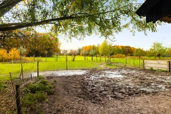 Foto 77 van Hoevesteeg 34