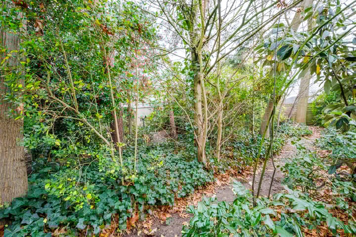 Foto 15 van Zuivelweg 28