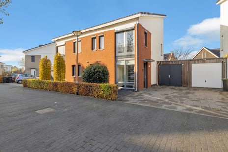 Havikskruid thumbnail