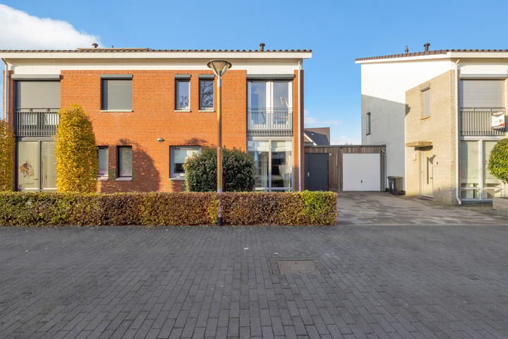 Foto 6 van Havikskruid 51