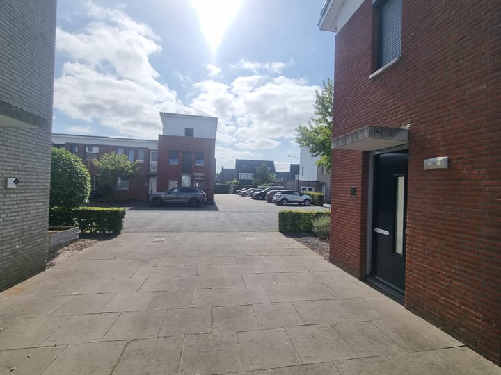 Foto 7 van Havikskruid 51