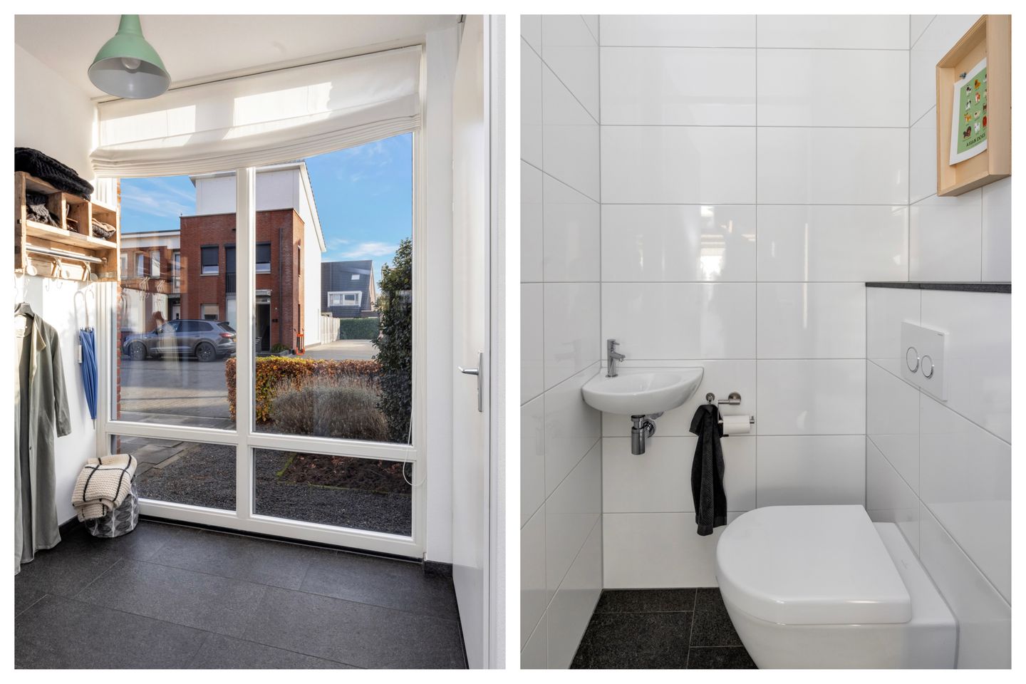 Foto 10 van Havikskruid 51