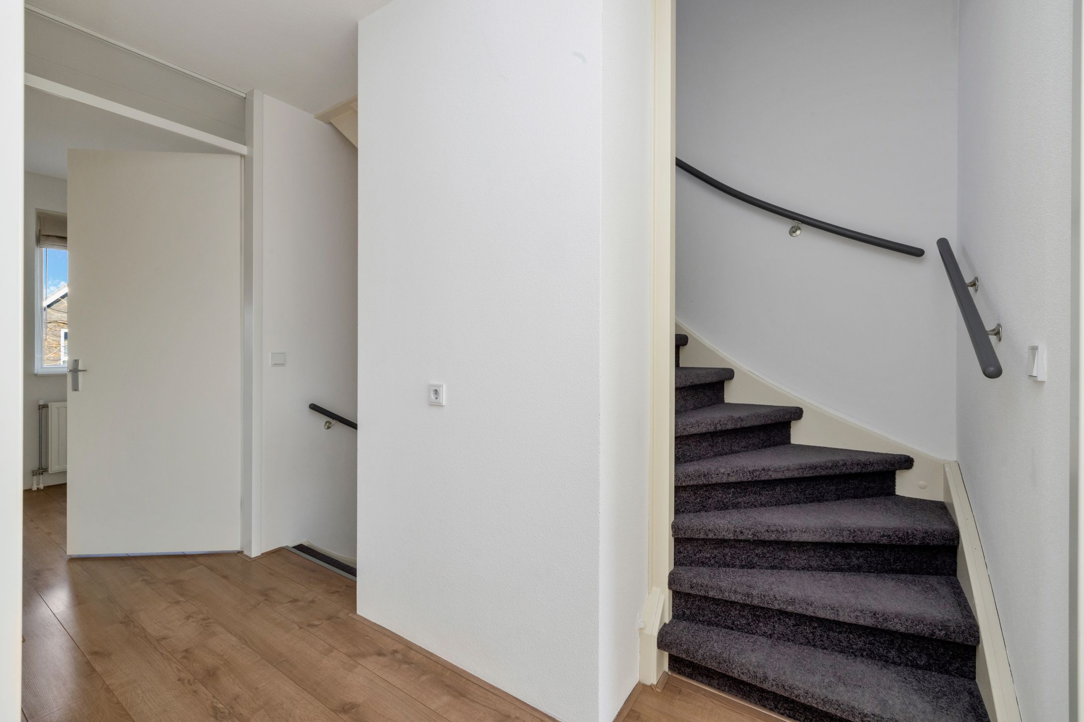 Foto 24 van Havikskruid 51