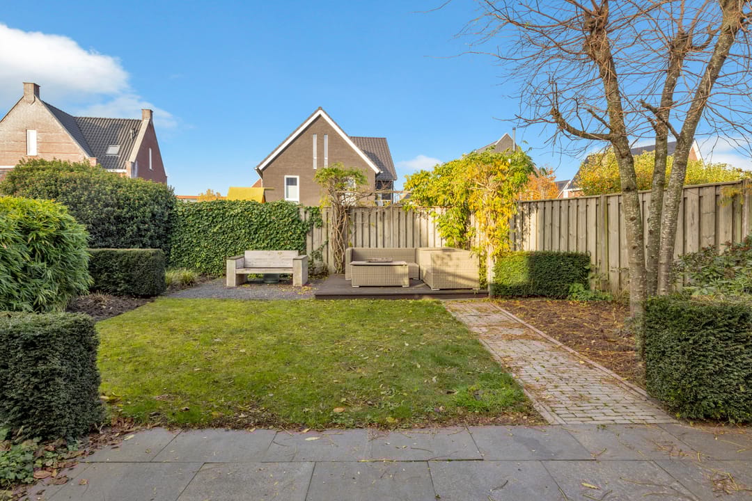 Foto 41 van Havikskruid 51