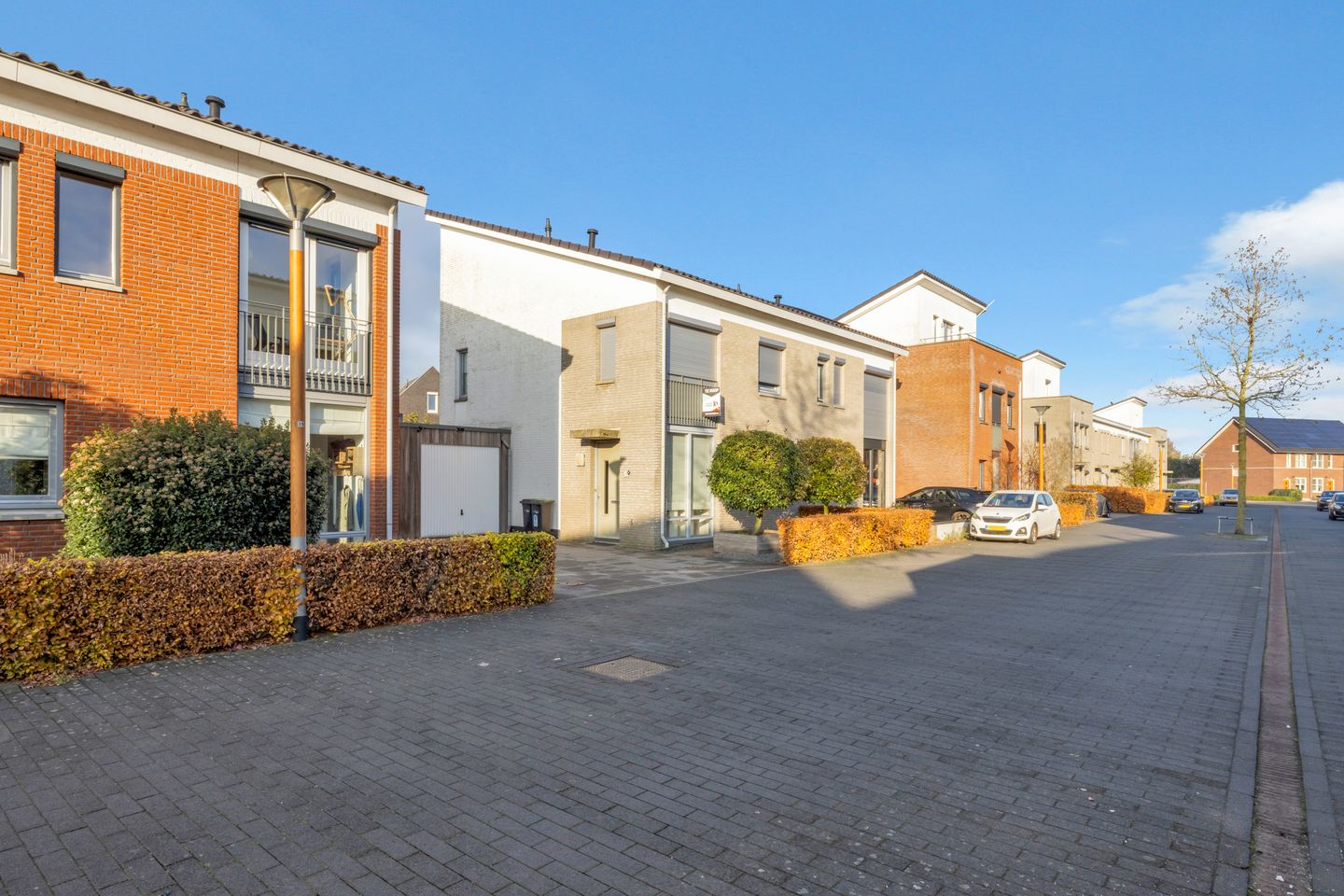 Foto 44 van Havikskruid 51