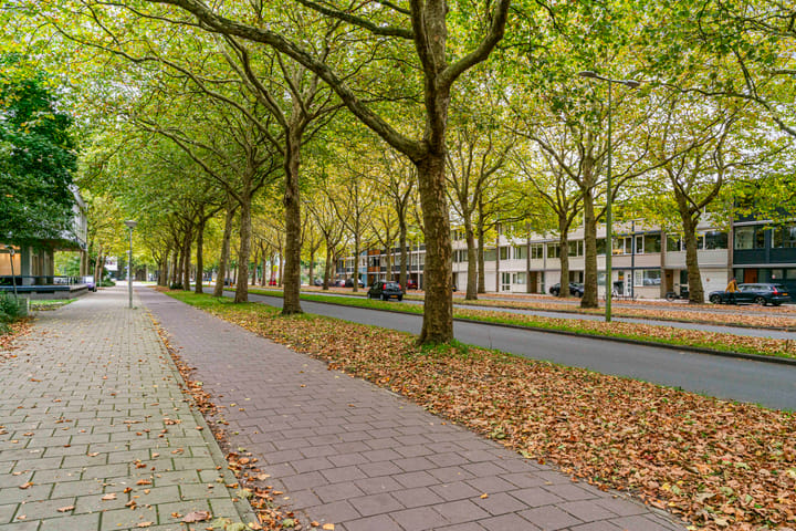 Foto 14 van Rupelmonde 84