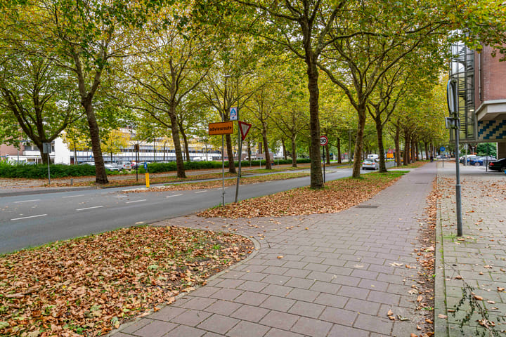 Foto 17 van Rupelmonde 84