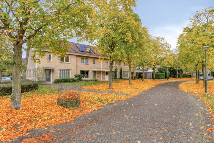 Foto 6 van Sommerscamp 32