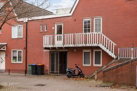 undefined main image