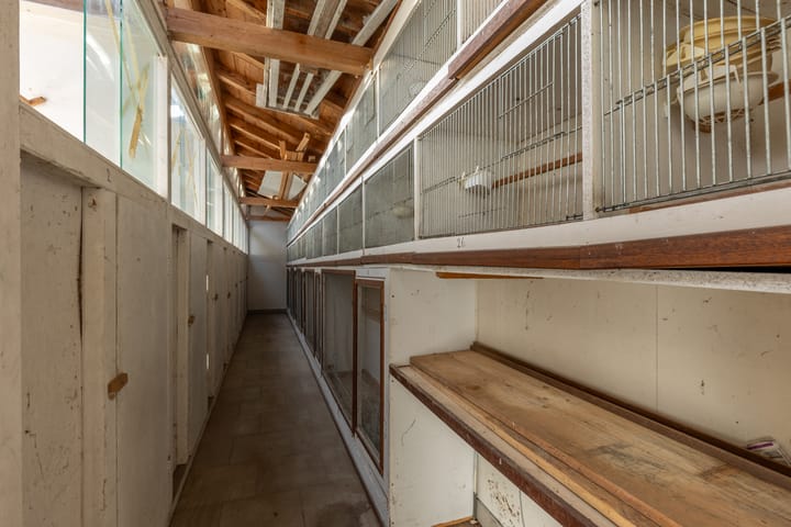 Foto 33 van Steegstraat 47