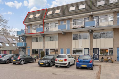 undefined main image