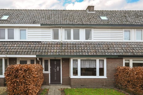 undefined main image