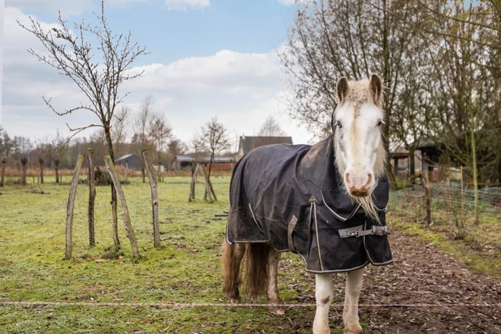 Foto 78 van Hoevesteeg 34