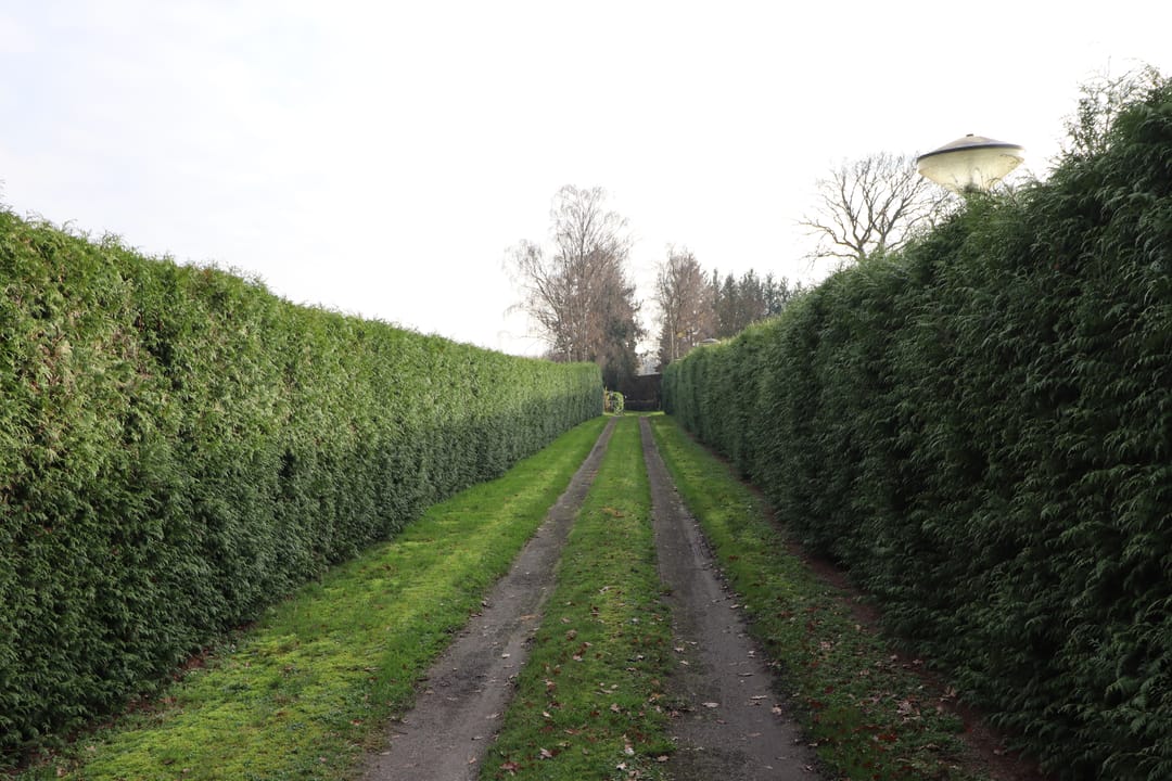 Photo 8 of Steenakkers-Oost 7