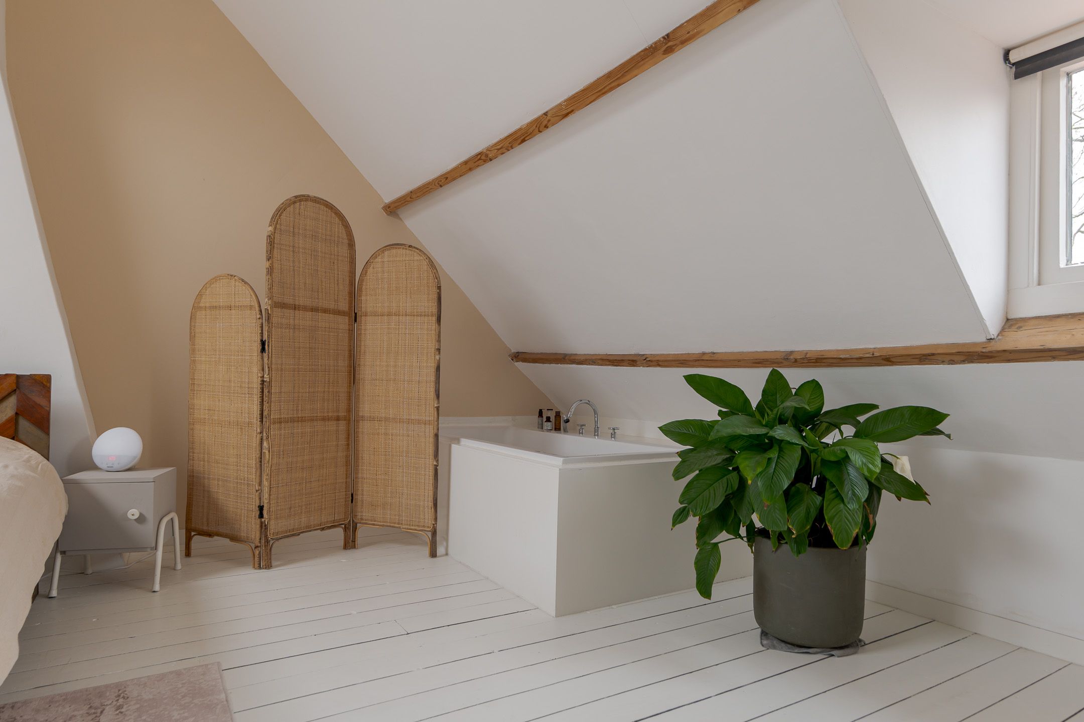 Foto 45 van Roemer Visscherstraat 9