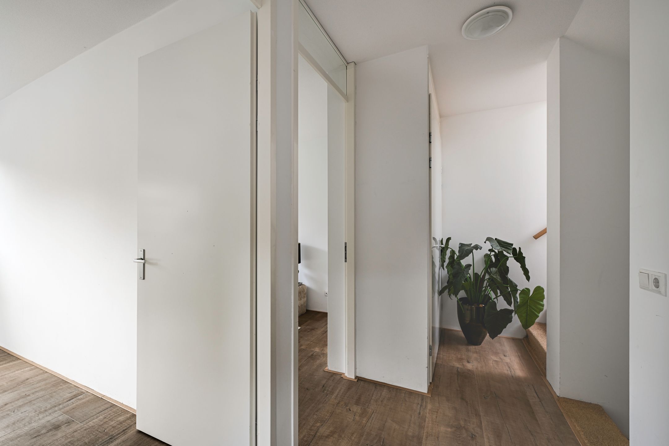 Photo 18 of Biancaland 119