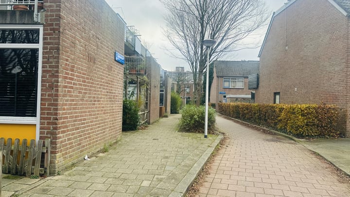 Foto 8 van Diamantpad 7