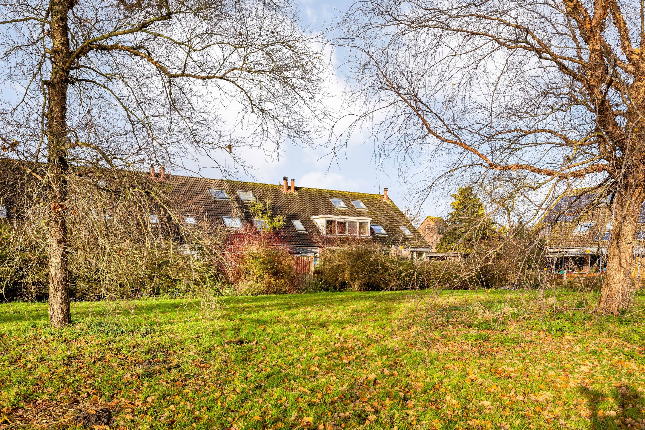 Photo 39 of Beemster 115
