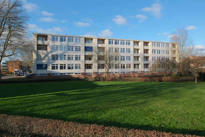 Foto 2 van Pieter de Hoochstraat 34