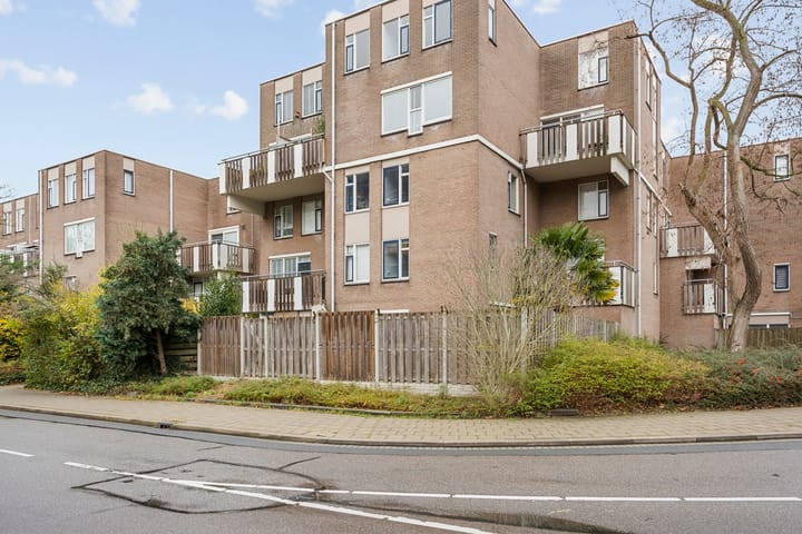 Foto 30 van Pierre Kemphove 101