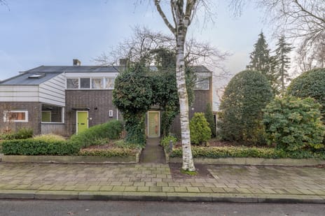 Johan de Wittlaan thumbnail