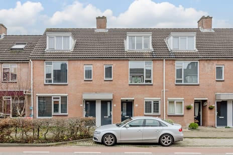 Paardebloem thumbnail