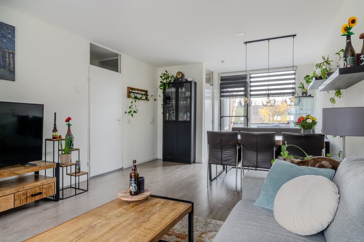 Photo 2 of Paardebloem 18