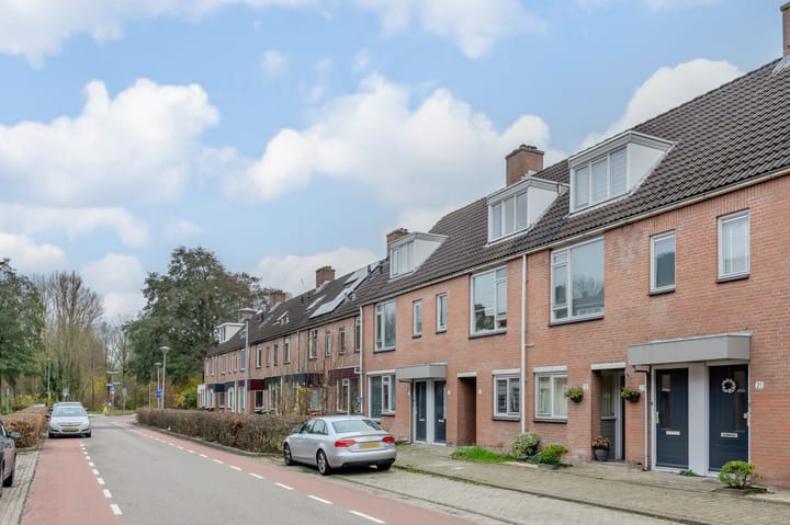 Foto 5 van Paardebloem 18