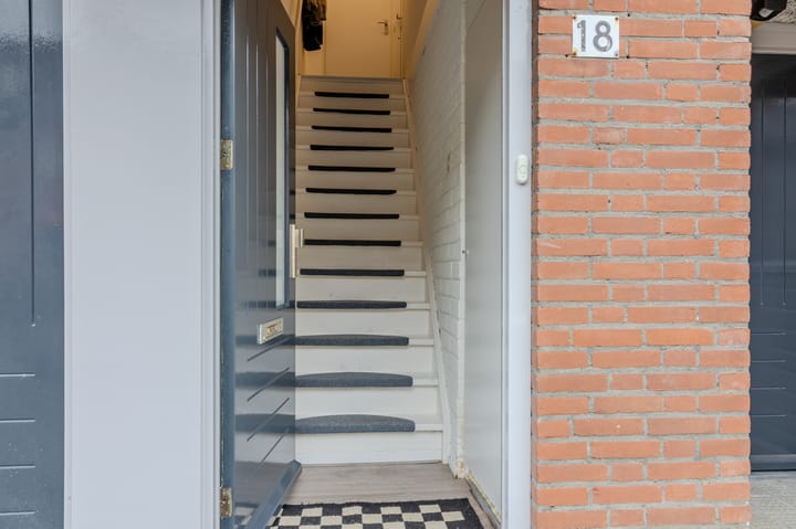 Foto 6 van Paardebloem 18