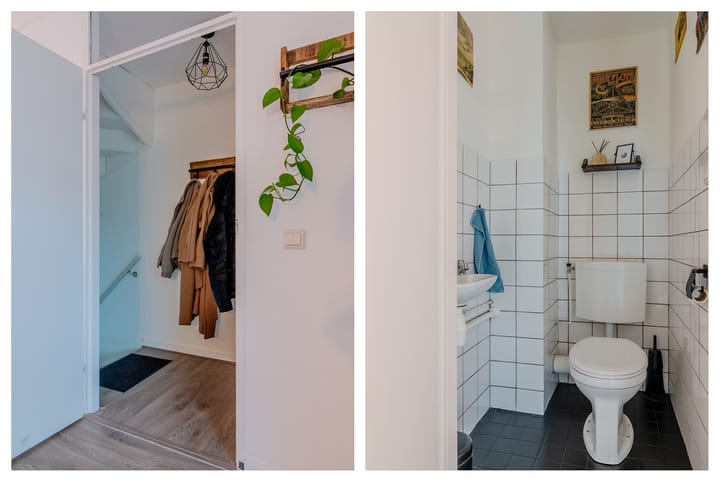 Foto 7 van Paardebloem 18