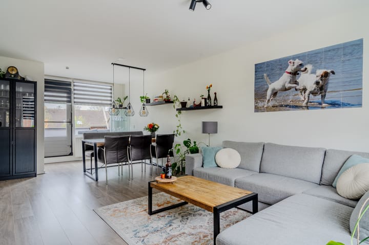 Foto 2 van Paardebloem 18