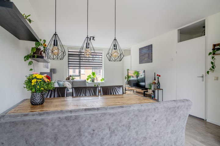 Foto 10 van Paardebloem 18