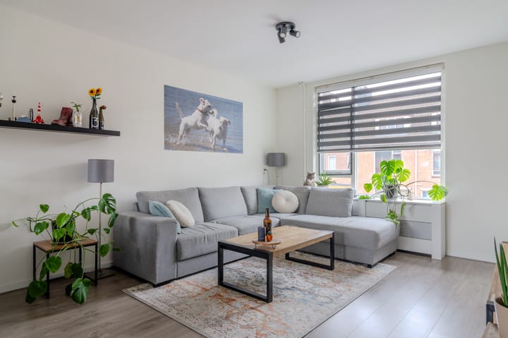 Foto 11 van Paardebloem 18