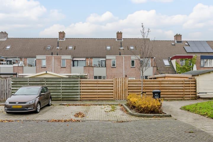 Foto 18 van Paardebloem 18