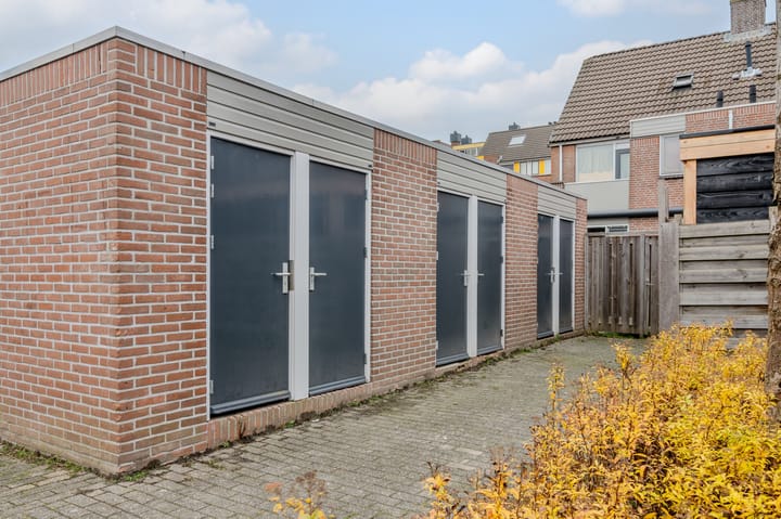 Foto 20 van Paardebloem 18