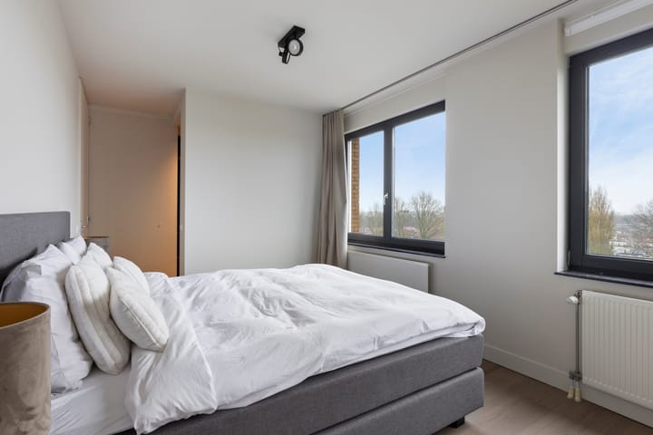 Foto 20 van Theseusstraat 175