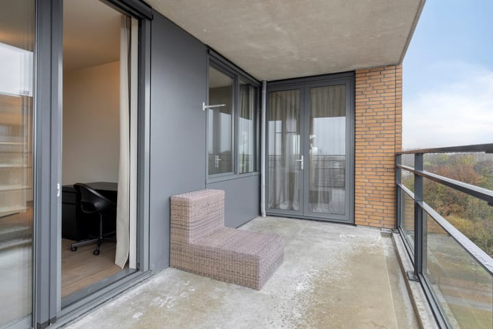 Foto 30 van Theseusstraat 175