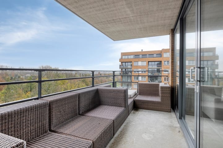 Foto 32 van Theseusstraat 175