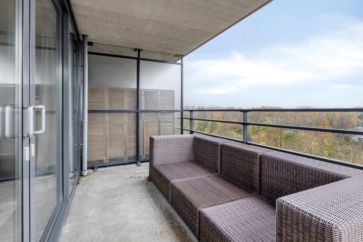 Foto 33 van Theseusstraat 175