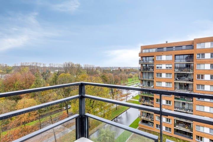 Foto 34 van Theseusstraat 175