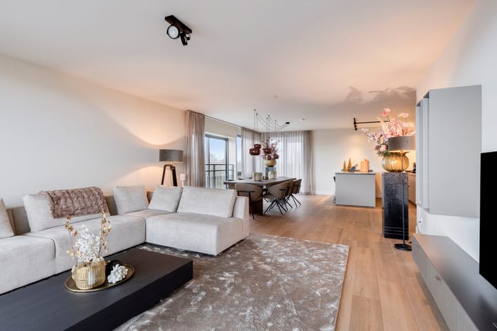 Foto 2 van Theseusstraat 175